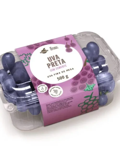 Uva-Preta-sem-Semente-Natural-Da-Terra-500g